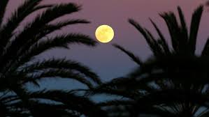 FULL SUPER MOON JANUARY 31